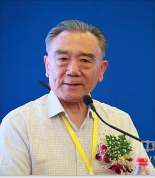 王治国<br>中华全国工商业联合会前副主席